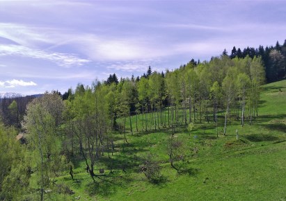 działka na sprzedaż - Stryszawa