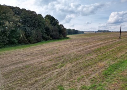 działka na sprzedaż - Jasienica, Międzyrzecze Dolne