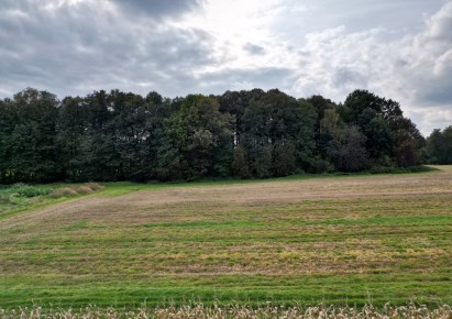 działka na sprzedaż - Jasienica, Międzyrzecze Dolne