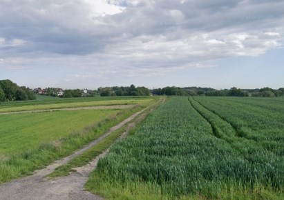 działka na sprzedaż - Wilamowice