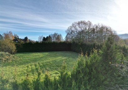 działka na sprzedaż - Jasienica